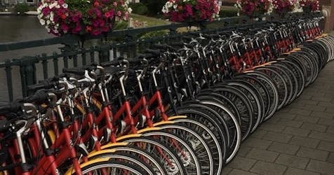 Alquiler de bicicletas de 3 horas en Ámsterdam con café de bienvenida